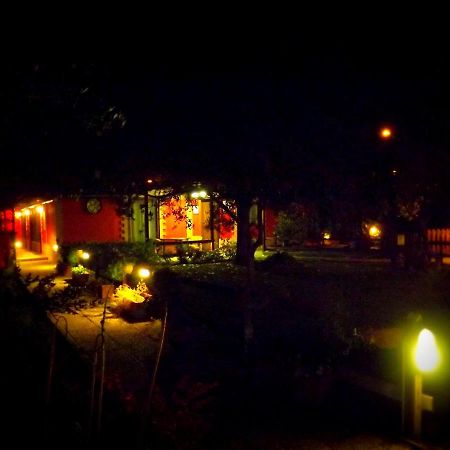 Country Apartments Castel di Decima 外观 照片