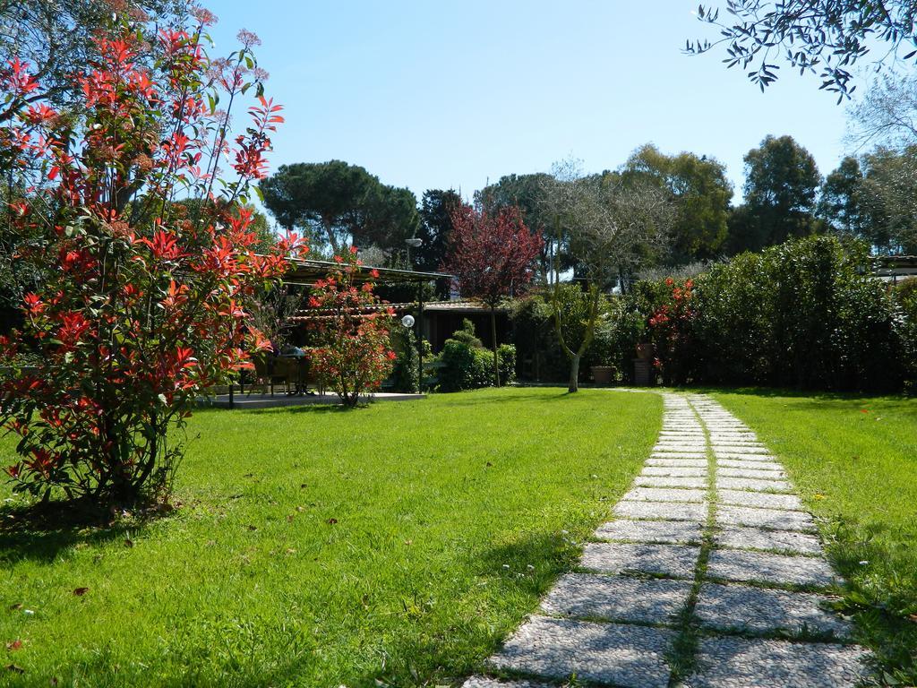Country Apartments Castel di Decima 外观 照片