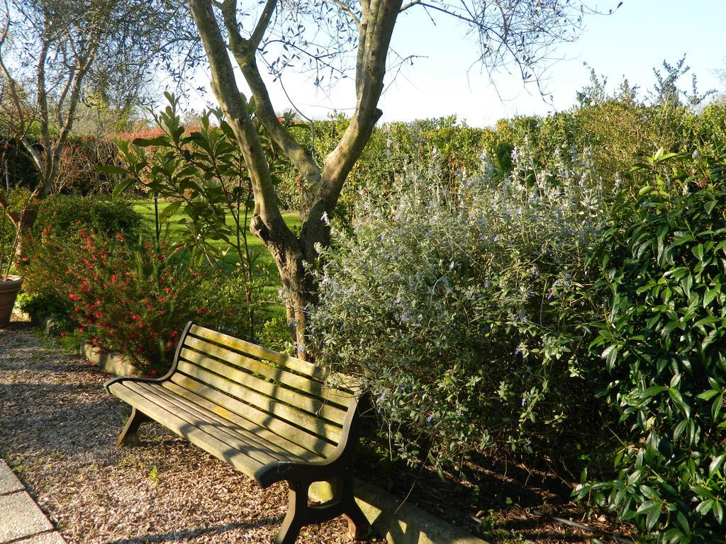 Country Apartments Castel di Decima 外观 照片