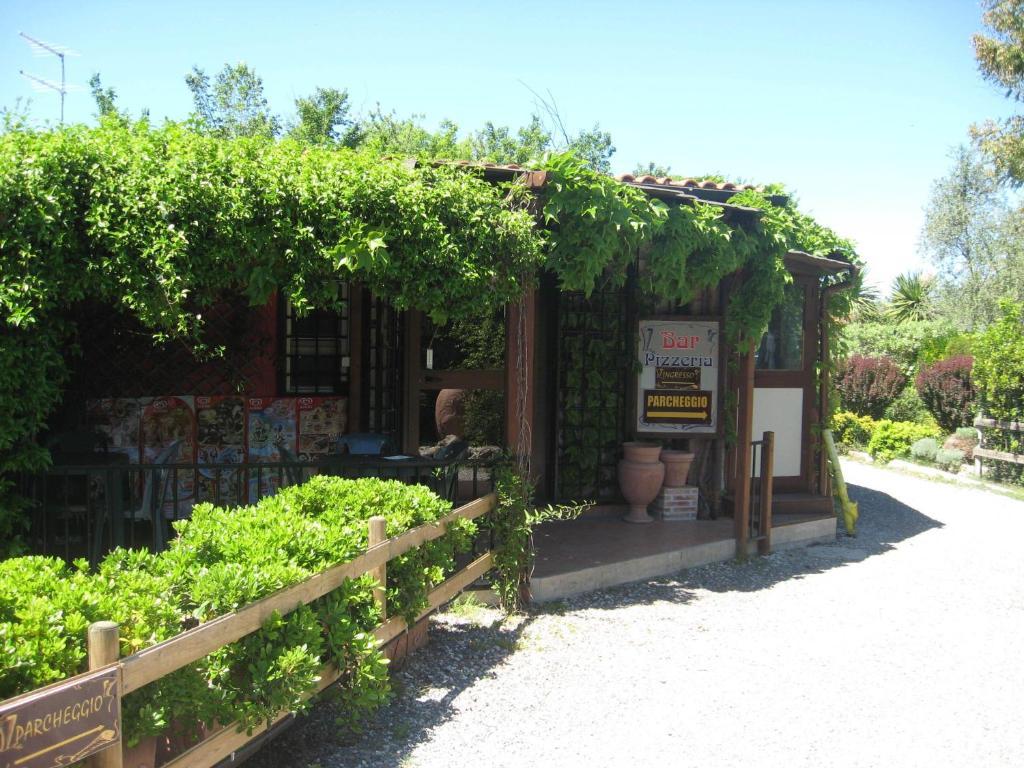 Country Apartments Castel di Decima 外观 照片