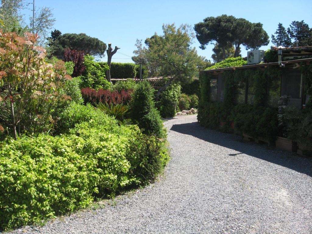 Country Apartments Castel di Decima 外观 照片