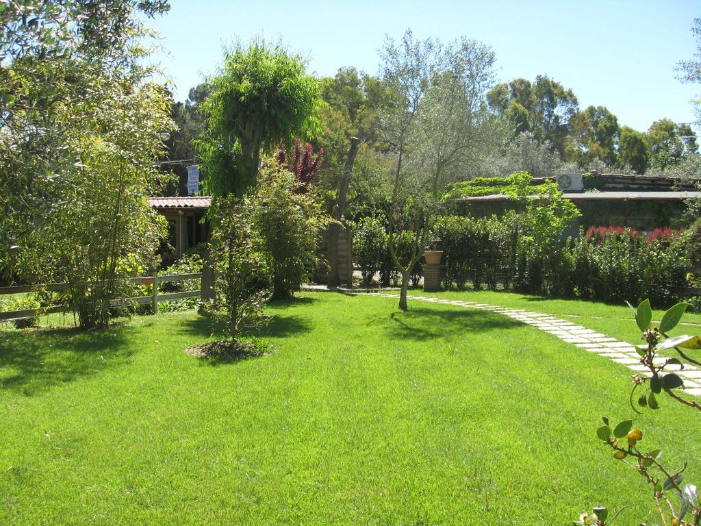 Country Apartments Castel di Decima 外观 照片