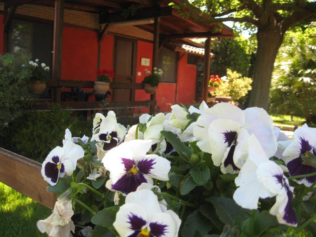 Country Apartments Castel di Decima 外观 照片