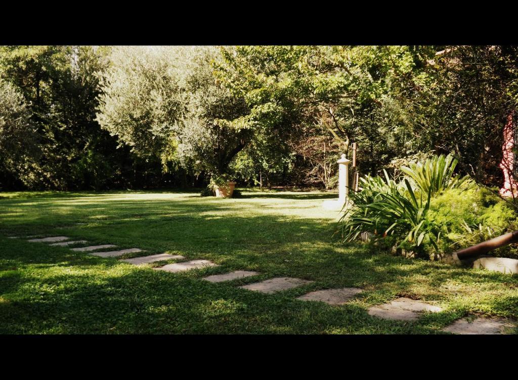 Country Apartments Castel di Decima 外观 照片