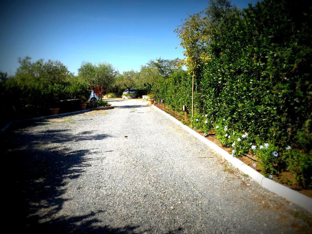 Country Apartments Castel di Decima 外观 照片