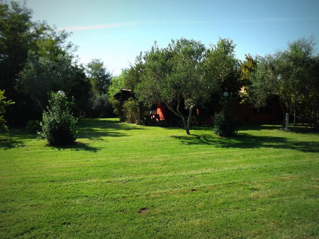 Country Apartments Castel di Decima 外观 照片