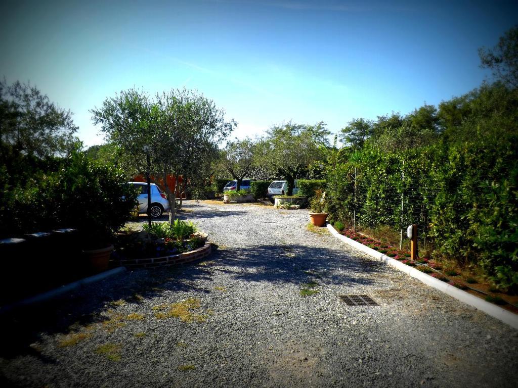 Country Apartments Castel di Decima 外观 照片