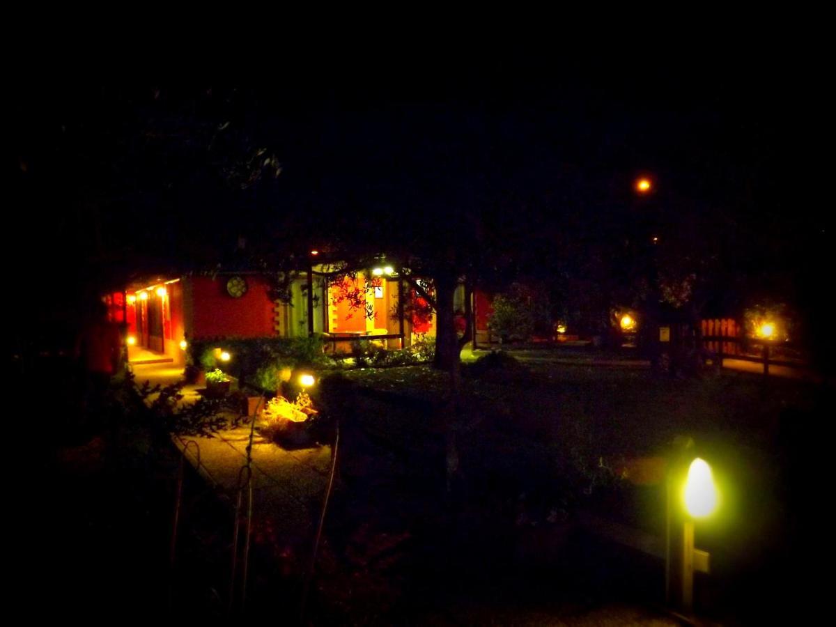 Country Apartments Castel di Decima 外观 照片